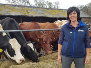 Supporting image for story: NFU live lessons will bring food and farming into Welsh schools
