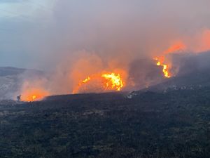 Supporting image for story: Country park wardens warn over barbecues as Scotland prepares for heatwave