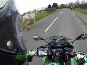Supporting image for story: VIDEO: Incredible footage of Shropshire motorcyclist rounding up a galloping horse on the loose