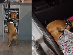 Supporting image for story: Officers in Oldbury arrest man on suspicion of possessing indecent images of children