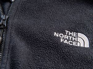 Supporting image for story: North Face and Cartier customer data stolen in cyber attacks