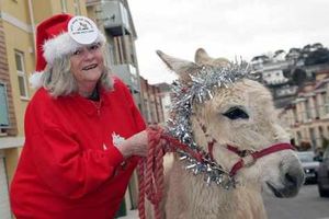 Supporting image for story: Ann Widdecombe to waltz into Market Drayton