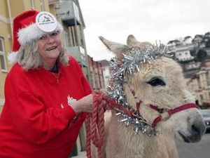 Supporting image for story: Ann Widdecombe to waltz into Market Drayton