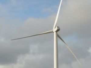 Supporting image for story: Councillors support bid for wind farm power lines to be buried underground