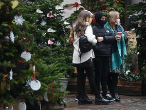 Supporting image for story: Avoiding social contacts for week before Christmas ‘may cut transmission risk’