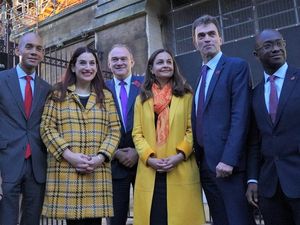 Supporting image for story: Gang of eight: The rebels who have swelled the Liberal Democrat ranks