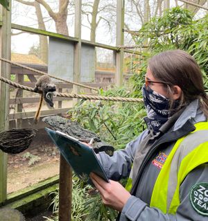 Staff have been counting the animals