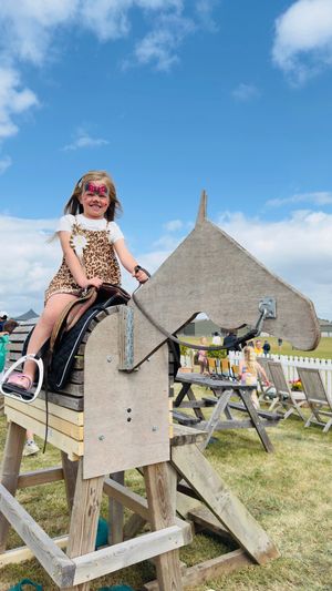 B&DWM - The wooden horse at Shrewsbury Polo Club in action