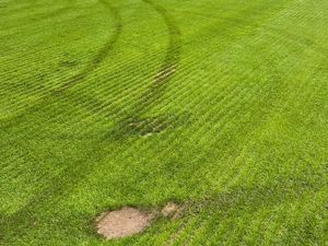 Supporting image for story: Paul Carden: Vandals showed no care