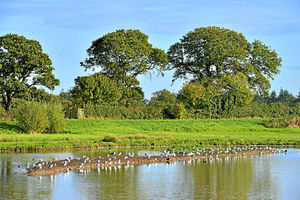 The impressive views of the nature reserve seen from the hide