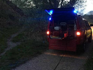 Supporting image for story: Trees and grass on fire in suspected Telford arson attack