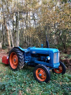 Sheila Morris – Power in the Woods