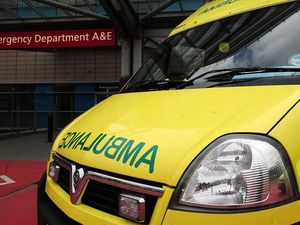 Supporting image for story