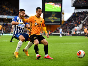 Supporting image for story: Wolves 0 Brighton 0 - Match highlights