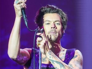 Supporting image for story: Texas university announces new course based on the work of Harry Styles