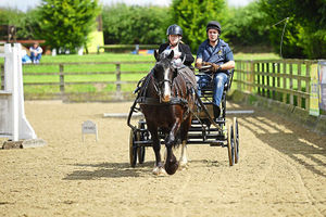 Julie Davies with driver Will Merrick. Pictures by Mary Whiston Photography.