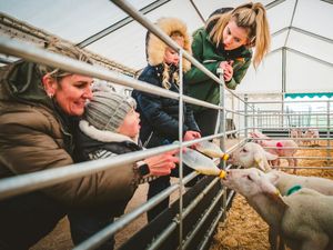 Supporting image for story: National Forest Adventure Farm holding events across Easter 