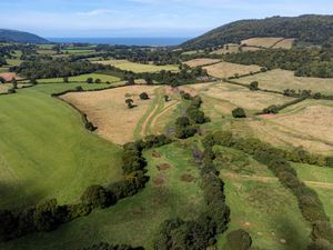 Supporting image for story: Labour delivers mixed picture on environment after one year, campaigners say