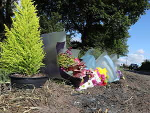 Supporting image for story: Driver, 20, killed in A41 crash that shut road for almost a day is named at inquest