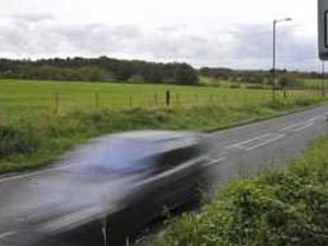 Supporting image for story: Letter: Speed cuts a deer waste of money