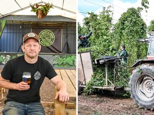 Supporting image for story: Hop picking season starts in West Midlands amid fears dry summer could hike beer prices