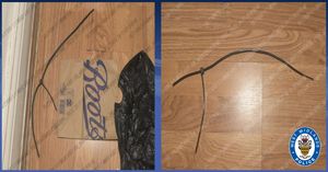 Cable ties used to tie up the two women. Photo: West Midlands Police