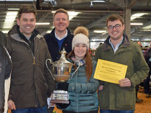 Supporting image for story: £1,500 prize at Shrewsbury’s Christmas cracker dairy show and sale 