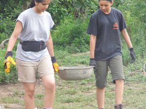 The Wolverhampton pupils get stuck in.
