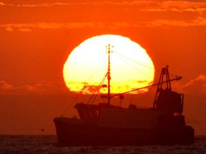 Supporting image for story: Heatwaves and weather events ‘could kill over 100,000 a year in Europe by 2100’