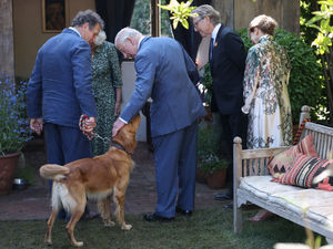King Charles III pets Ned, the dog of broadcaster and gardening expert Monty Don at the RHS Chelsea Flower Show 2025. Photo: Toby Melville/PA Wire