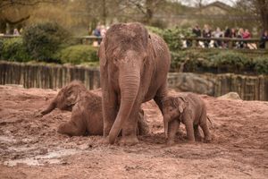 Supporting image for story