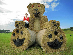 Supporting image for story: 20ft teddy scarecrow is destroyed in Pattingham blaze