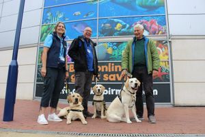 Joy Flanagan with puppy Oak, Mike Gurney with puppy Harvey and John Defty with puppy Kevin. Photo: Guide Dogs