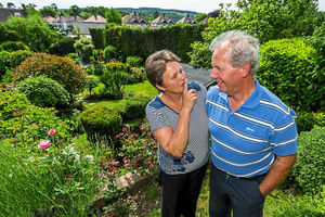 Supporting image for story: Take a walk through some secret gardens