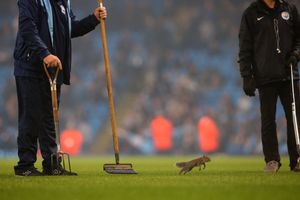 Groundsmen chase the squirrel. Credit: Manchester City
