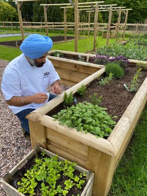 Arbinder in the kitchen garden