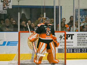 Supporting image for story: Telford Tigers's netminder Brad Day eager to prove he is best of British