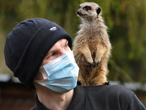 Supporting image for story: Looking forward to better times as animal farm prepares to welcome visitors