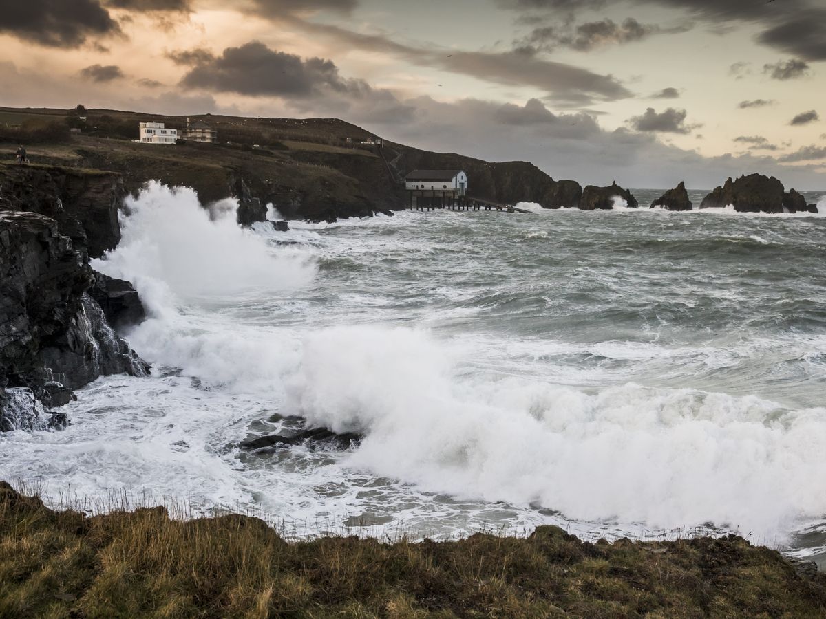 UK to legislate for UN High Seas Treaty by end of year