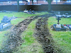 Supporting image for story: Family's distress at state of West Bromwich cemetery