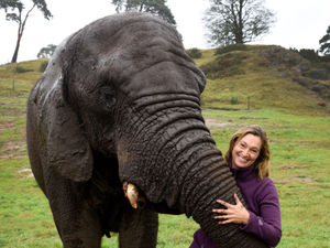 Supporting image for story: Saba warns of elephant 'holocaust'