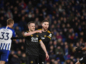Supporting image for story: Wolves Fans' Verdict v Brighton: The unbeaten run continues 
