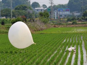 Supporting image for story: Kim Jong Un’s sister hints at flying more rubbish balloons towards South Korea