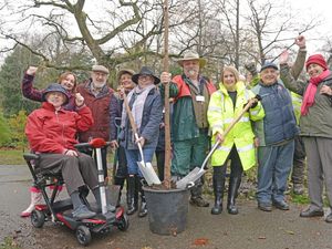 Supporting image for story: Joy as new trees planted at Wednesbury's Brunswick Park 