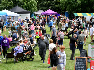 Supporting image for story: What's in store at Halesowen's huge carnival and music festival