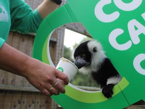 Supporting image for story: Macmillan cancer charity warns of huge funding loss