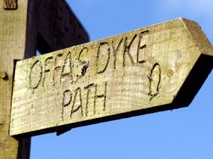 Supporting image for story: Conifers to go to protect Offa's Dyke 