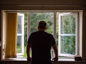 Supporting image for story: Study: 14% of self-isolating adults who tested positive did not adhere to rules