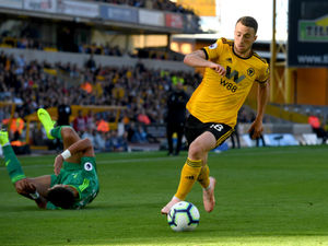 Supporting image for story: Nuno backs Diogo Jota to improve
