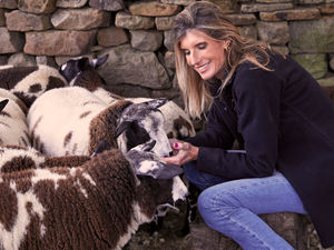 Supporting image for story: 'The Yorkshire Shepherdess' to drop into Oswestry store as she launches first children's book
